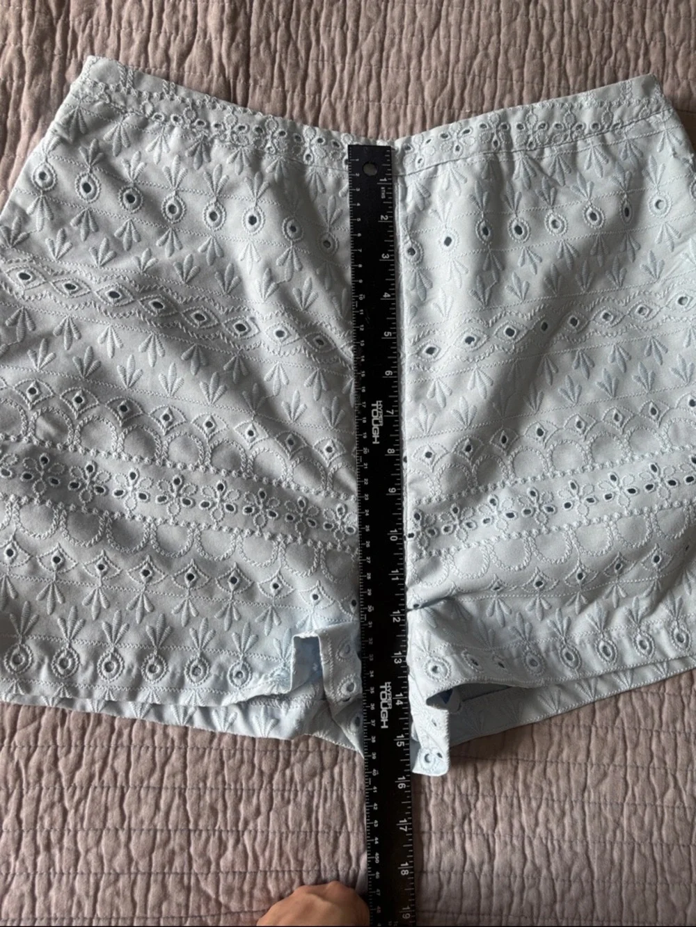 Blue Rain by Francesca's Light Blue Eyelet Lace Shorts - Large